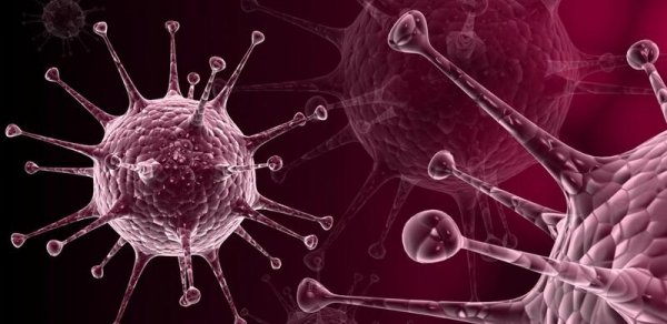 Dünyaya yeni virus yayılır: Mənşəyi məlum deyil
