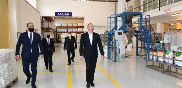 SİYASƏT
