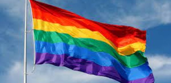 LGBT üzvlərinə bunu etmək qadağan edildi
