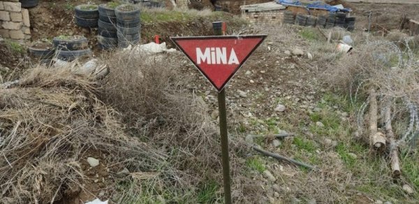 Ağdamda çoban minaya düşdü