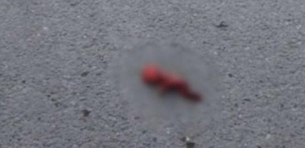 Bakıda bağ evinin həyətindən ölmüş döl tapıldı