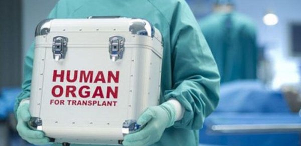 Bu ölkədə ölən şəxslərin orqanları çıxarılacaq