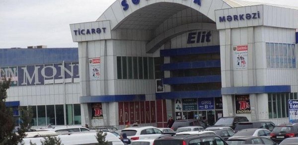 SOSİAL