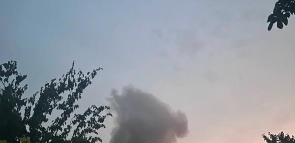 DÜNYA