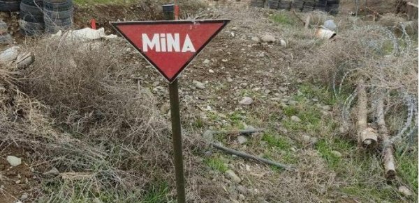 SOSİAL
