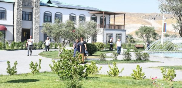 SOSİAL