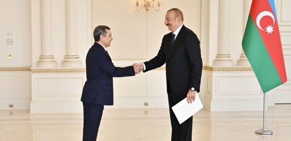 SİYASƏT