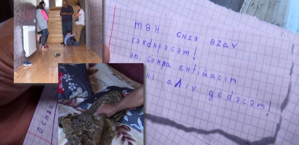SOSİAL