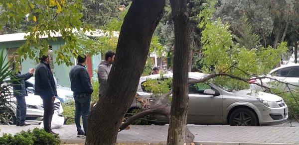 SOSİAL