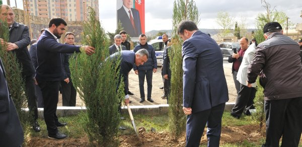 SOSİAL