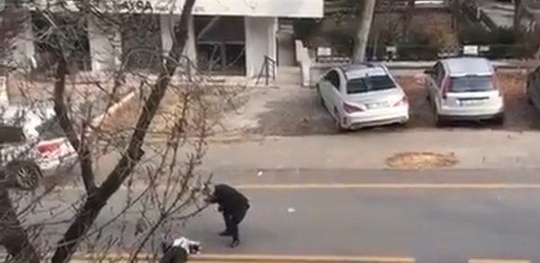 DÜNYA