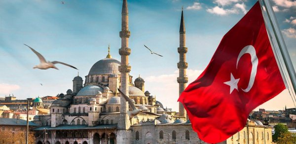 SOSİAL