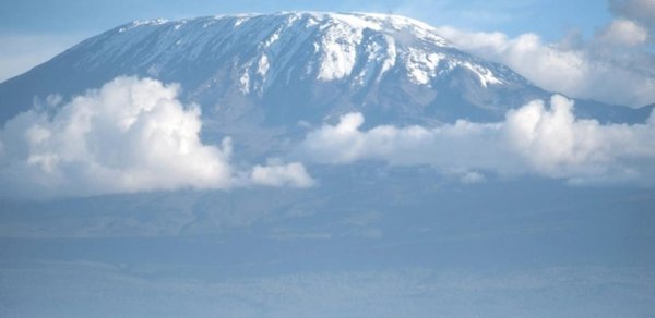 DÜNYA