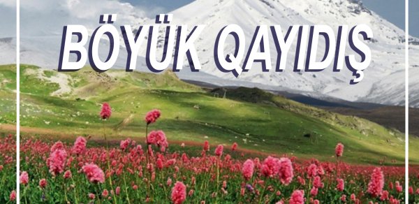 SİYASƏT