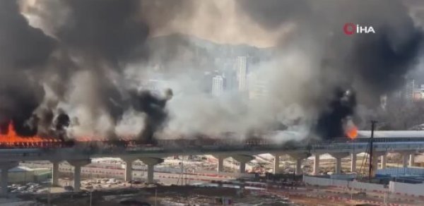 DÜNYA