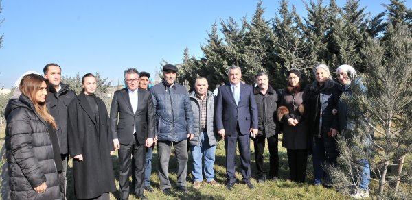 SOSİAL