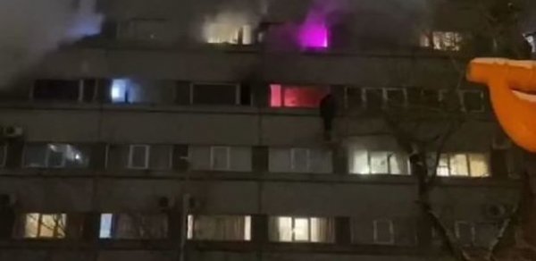 DÜNYA