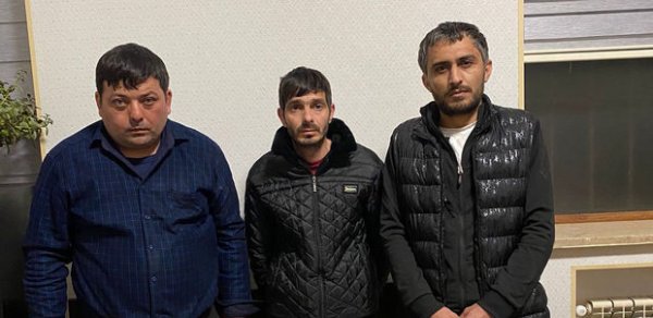 SOSİAL