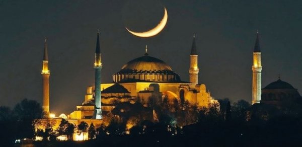 SOSİAL