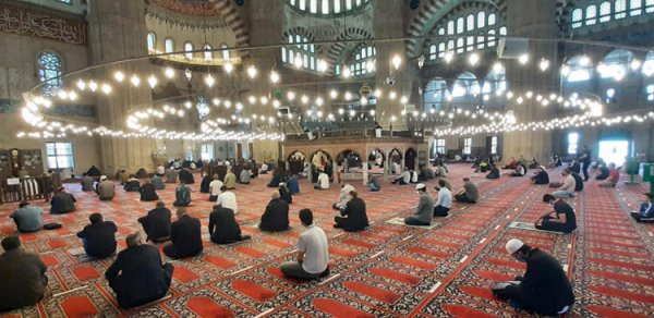 SOSİAL