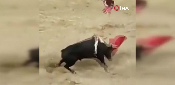 DÜNYA