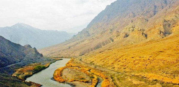 SİYASƏT