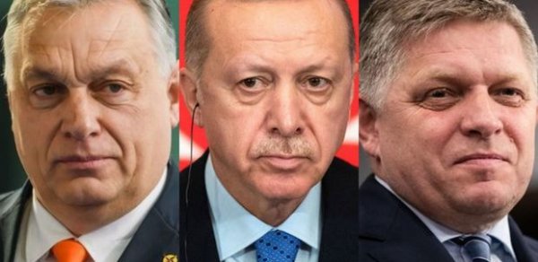 DÜNYA