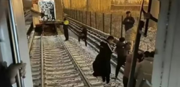 DÜNYA