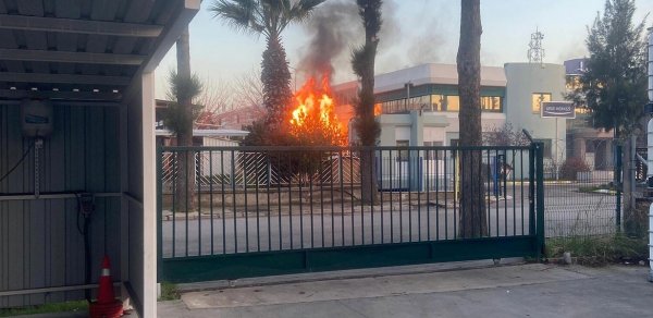 DÜNYA