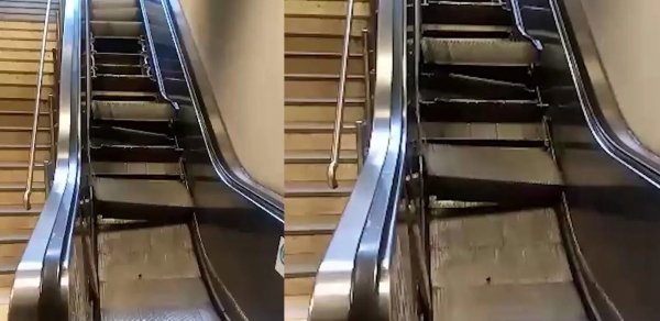 DÜNYA
