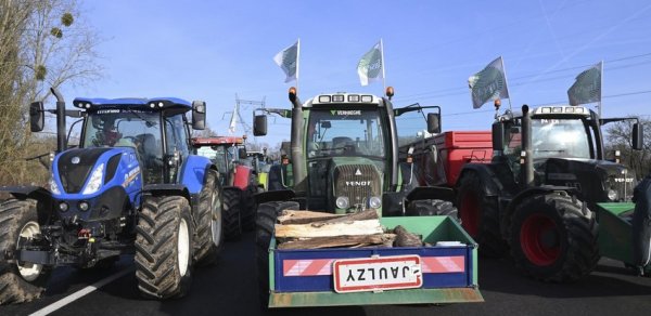 DÜNYA