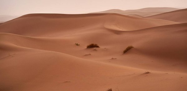 DÜNYA