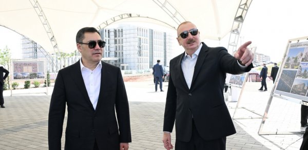 SOSİAL