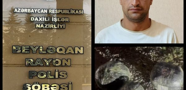 SOSİAL