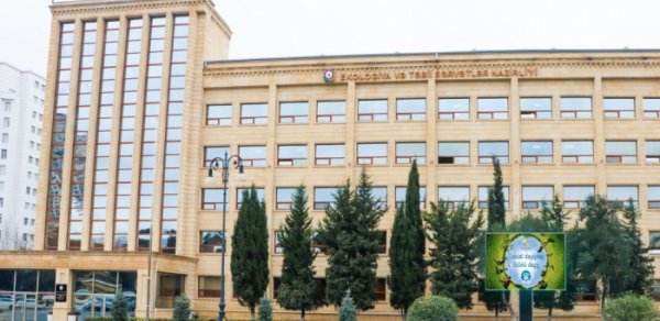SİYASƏT