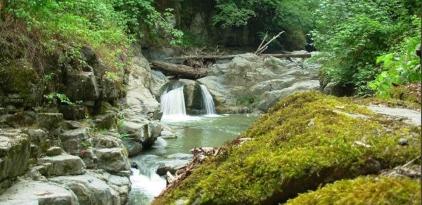 KÖŞƏ