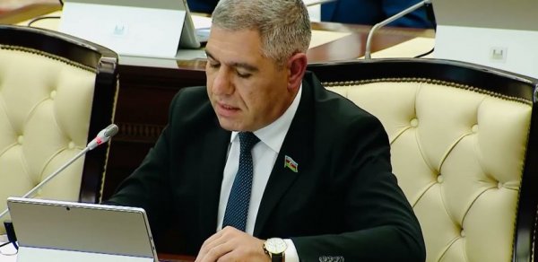 "200 manat kredit borcu olanların ölkədən çıxa bilməməsi problemli kreditləri azaltmayacaq"
