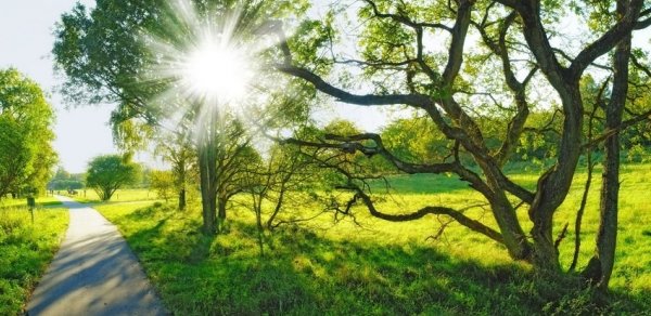 Sabahın hava proqnozu AÇIQLANDI