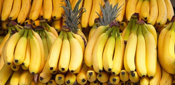 Banan tullantılarından parik və tekstil hazırlanacaq