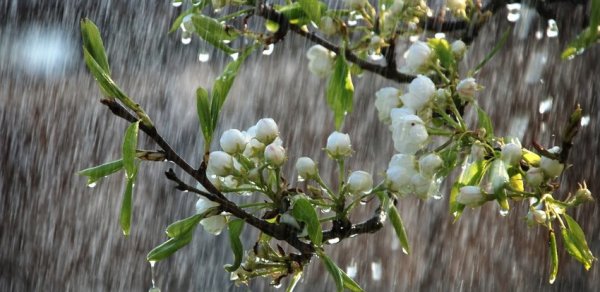 Azərbaycanda bəzi yerlərdə leysan yağıb - Faktiki hava