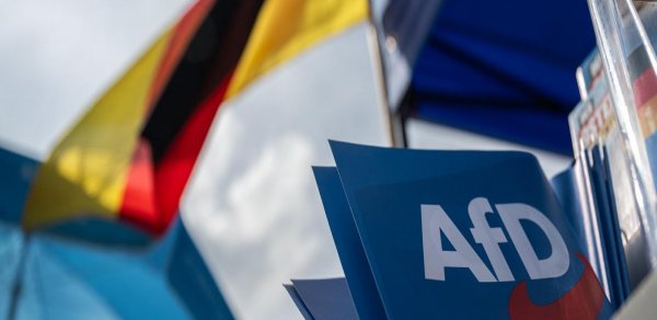 "Almaniya üçün Alternativ" miqrantlara qarşı sərt mövqeyi ilə tanınmağa başlayıb