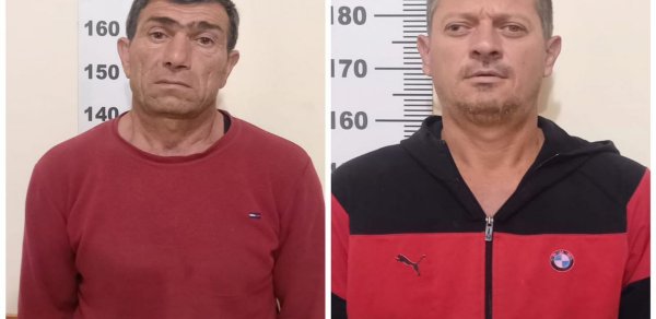Yevlaxda 592 ədəd çətənə kolu əkən 2 nəfər saxlanılıb