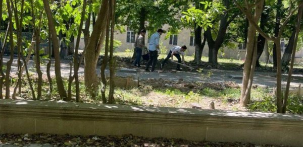 AMEA-nın həyətində çayxana tikilir? - Rəsmi AÇIQLAMA