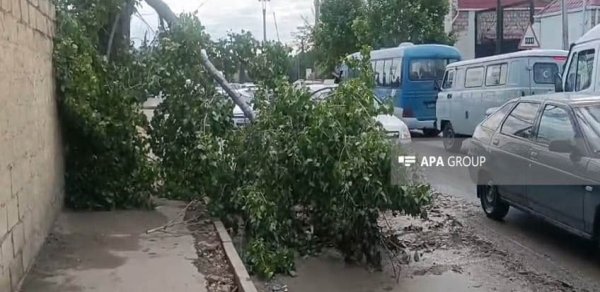 Gəncədə güclü külək və leysan fəsadlar törədib - FOTO