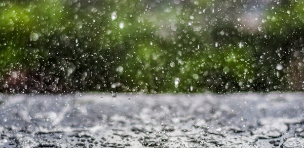 Küləkli və yağıntılı hava şəraiti davam edir - FAKTİKİ HAVA