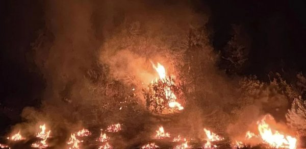 ABŞ-də meşə yanğını: 20,425 hektar ərazi külə döndü