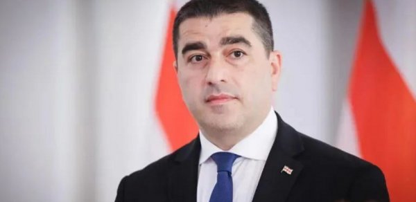 Papuaşvili: Baltikyanı ölkələr artıq açıq şəkildə gürcü xalqına qarşı çıxış edirlər