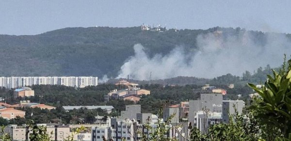 DÜNYA