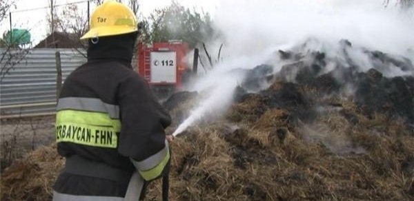 Salyanda 40 tonluq ot tayası yandı