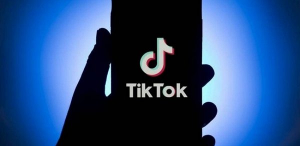 Azərbaycanda uşaqların tiktoka girişinin qadağan edilsin - TƏKLİF